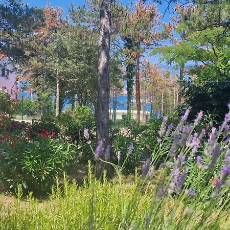 Park Apartment Šilo