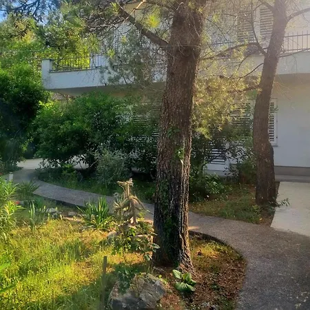 Appartement Park *